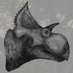 Descubren nueva especie de dinosaurio que vivió hace 73 millones de años