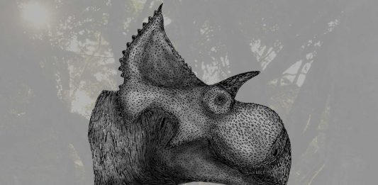 Descubren nueva especie de dinosaurio que vivió hace 73 millones de años