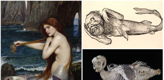 La sirena de Fiji, el mayor engaño del Circo Barnum