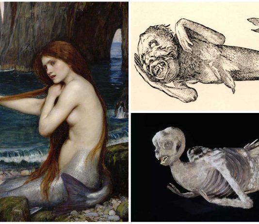 La sirena de Fiji, el mayor engaño del Circo Barnum