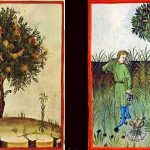 Tacuinum sanitatis, el increíble manual medieval de salud y bienestar