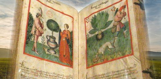 Tacuinum sanitatis, el increíble manual medieval de salud y bienestar Tacuinum sanitatis, el increíble manual medieval de salud y bienestar