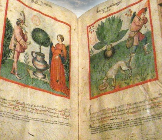 Tacuinum sanitatis, el increíble manual medieval de salud y bienestar