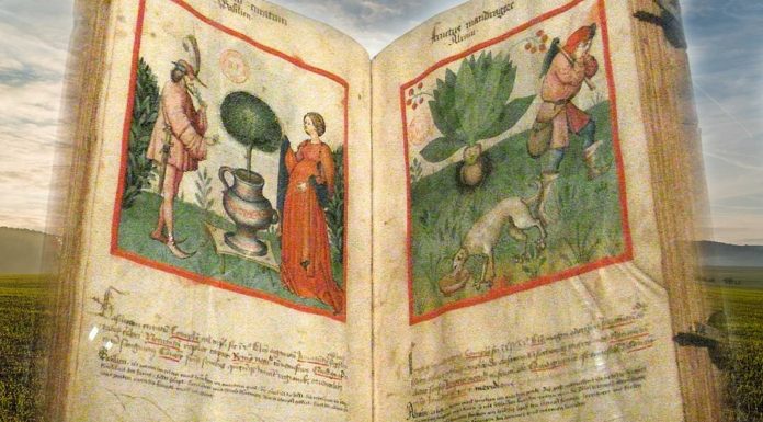 Tacuinum sanitatis, el increíble manual medieval de salud y bienestar