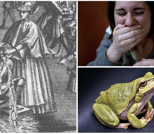 Catharina Geisslerin, la mujer que vomitaba ranas. ¿Es posible? Catharina Geisslerin, la mujer que vomitaba ranas. ¿Es posible?