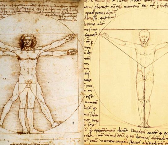 Giacomo Andrea, el otro "Hombre de Vitruvio"