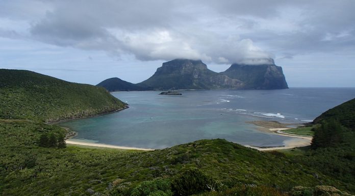 Perforaciones en Zealandia revelan secretos del continente perdido