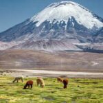 datos-curisos-sobre-chile-su-numero-de-volcanes
