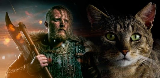 Gatos y vikingos. Juntos en sus conquistas