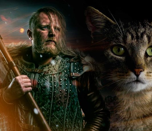 Gatos y vikingos. Juntos en sus conquistas Gatos y vikingos. Juntos en sus conquistas