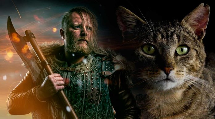 Gatos y vikingos. Juntos en sus conquistas