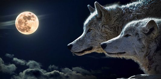 Los 12 nombres de la Luna según los meses del año Los 12 nombres de la Luna según los meses del año