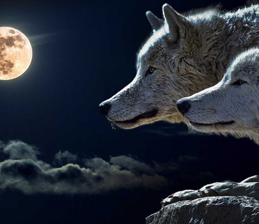 Los 12 nombres de la Luna según los meses del año Los 12 nombres de la Luna según los meses del año