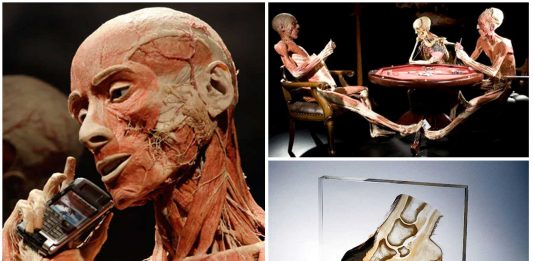 La Plastinación, el embalsamado moderno. ¿Ofrecerías tu cuerpo?
