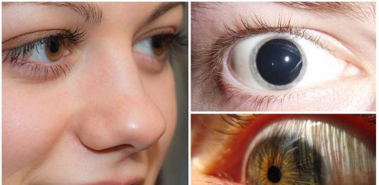 Tus pupilas te delatan. 7 cosas que puedes leer en ellas