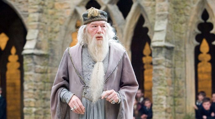 10 datos que quizás desconocías sobre Albus Dumbledore