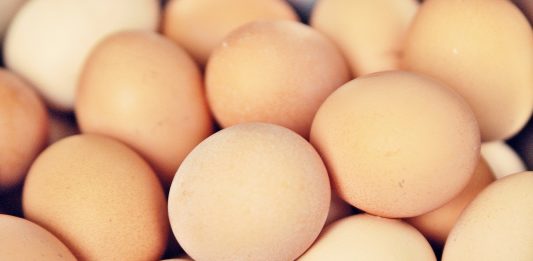 Deberíamos guardar los huevos en la nevera