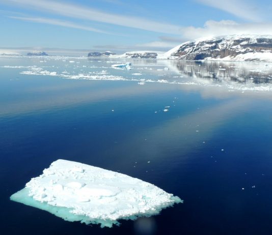 La gigantesca anomalía que se esconde bajo la Antártida La gigantesca anomalía que se esconde bajo la Antártida