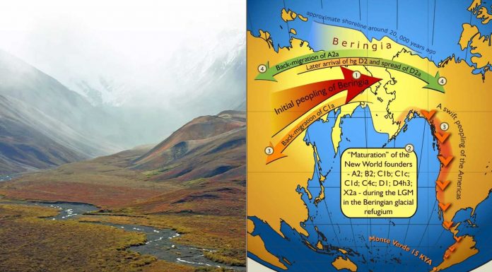 Beringia, el puente que unió Asia y América hasta hace 10 mil años