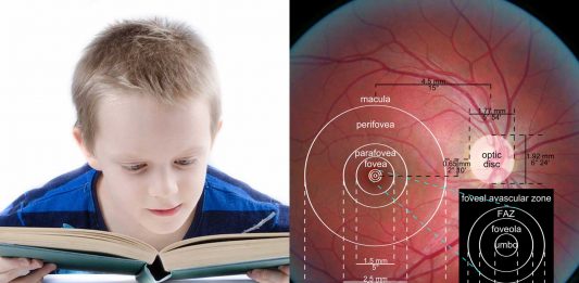 Una investigación asocia la dislexia con un problema fisiológico en el ojo