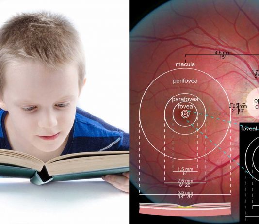 Una investigación asocia la dislexia con un problema fisiológico en el ojo