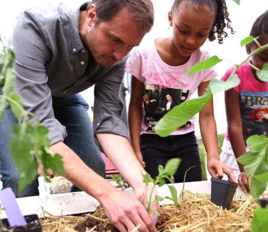 Los planes del hermano de Elon Musk para la comida Los planes del hermano de Elon Musk para la comida