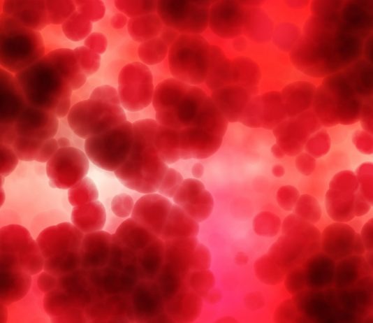 ¿Se puede obtener electricidad de la sangre humana? se puede obtener electricidad de la sangre humana