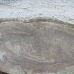 Trovants, las extrañas piedras que crecen, respiran y se mueven