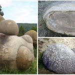 Trovants, las extrañas piedras que crecen, respiran y se mueven