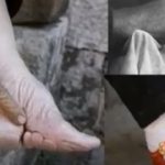 zapatos