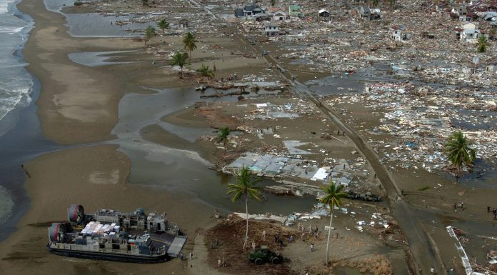 Características que comparten supervivientes de desastres