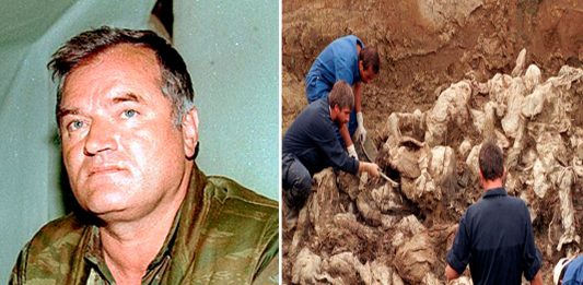¿Quién es Ratko Mladic? El «Carnicero de Bosnia» ¿Quién es Ratko Mladic? El "Carnicero de Bosnia" condenado a cadena perpetua