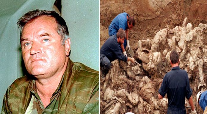 ¿Quién es Ratko Mladic? El "Carnicero de Bosnia" condenado a cadena perpetua