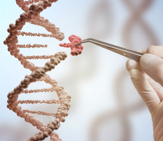 Biohackers lograron introducir un virus informático en una cadena de ADN