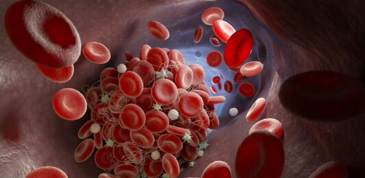 cuantos litros de sangre tiene el cuerpo humano