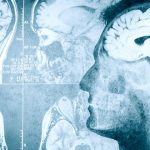 curiosidades del mundo, cerebro
