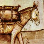 curiosidades del mundo, historia, burro