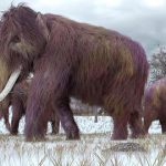 curiosidades del mundo, historia, mamut