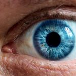 curiosidades del mundo, ojos azules, mismo ancestro