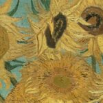 historia de los girasoles