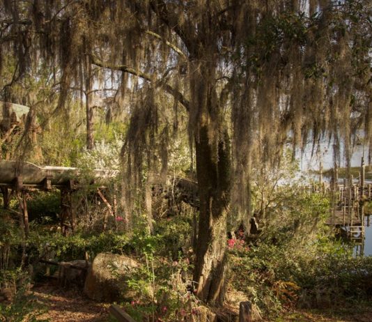 Este Parque de Disney abandonado se ha estado pudriendo durante los últimos 15 años
