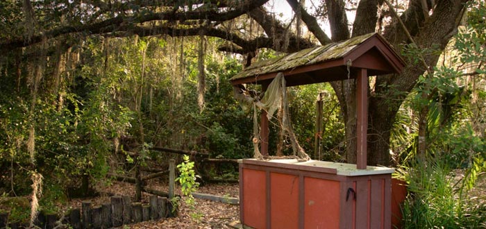 Este Parque de Disney abandonado se ha estado pudriendo durante los últimos 15 años