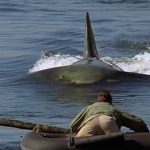 10 Películas de Tiburones que no puedes perderte