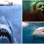 10 Películas de Tiburones que no puedes perderte
