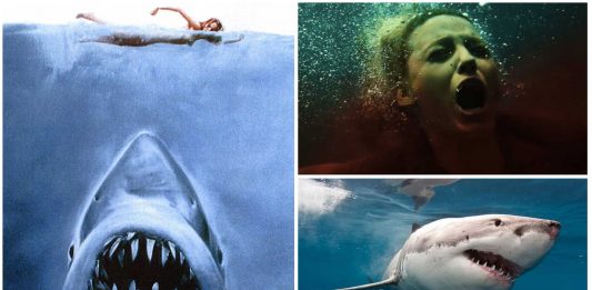 10 Películas de Tiburones que no puedes perderte