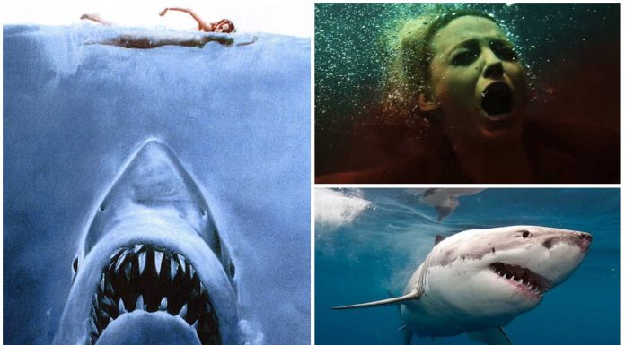 10 Películas de Tiburones que no puedes perderte