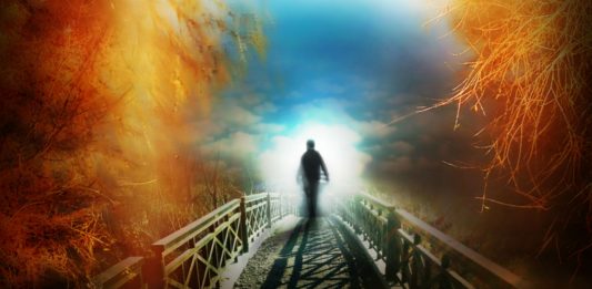 Después de perder la vida, tu cerebro sabe que has muerto, según estudio Después de perder la vida, tu cerebro sabe que has muerto, según estudio