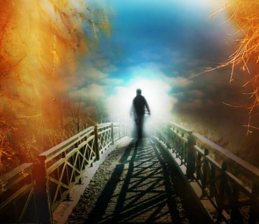 Después de perder la vida, tu cerebro sabe que has muerto, según estudio Después de perder la vida, tu cerebro sabe que has muerto, según estudio