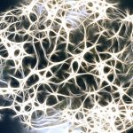Ilustración de un cerebro