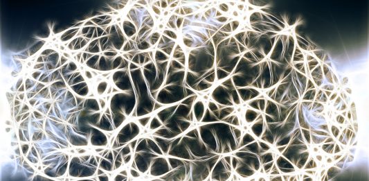 Las funciones del cerebro